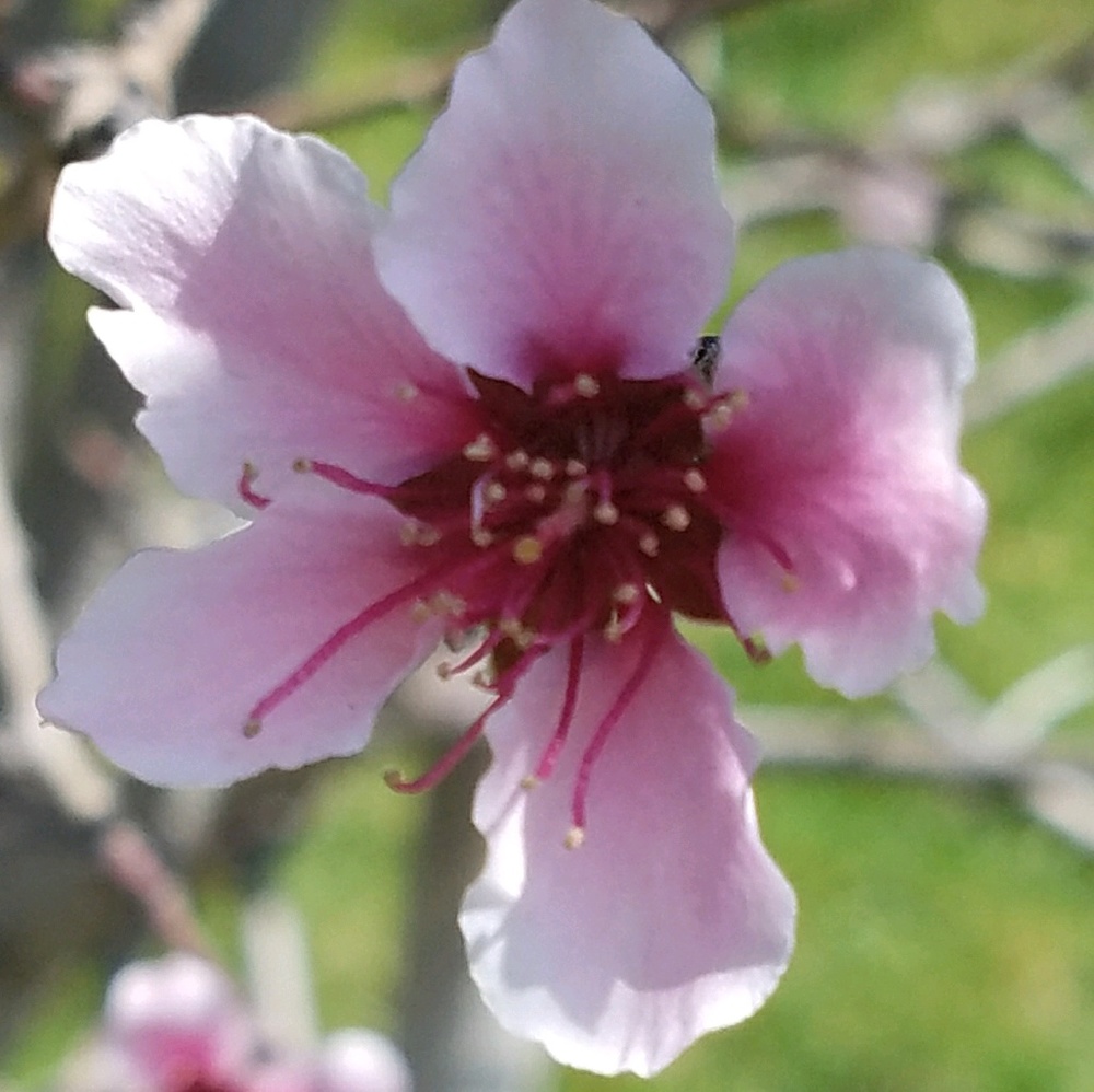 Meet your Posher, Jungmi